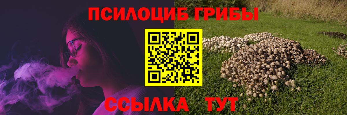 Псилоцибиновые грибы ЛСД Дербент