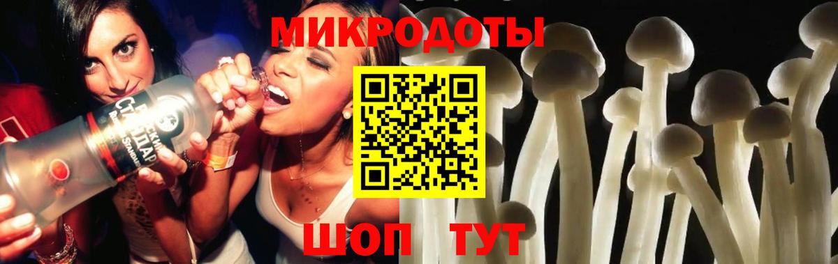 Псилоцибиновые грибы мицелий  Вход с VPN  Дербент 